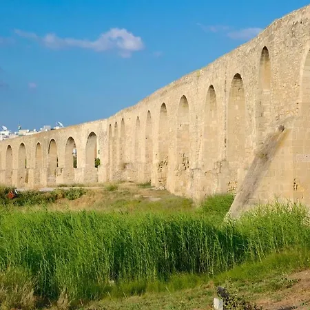 San Andreas Holiday Semesterbostad Larnaca